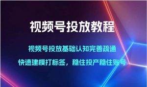 视频号投放教程-视频号投放基础认知完善疏通，快速建模打标签，稳住投产稳住账号-旺仔资源库