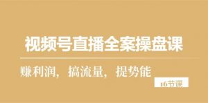 （10207期）视频号直播全案操盘课，赚利润，搞流量，提势能（16节课）-旺仔资源库