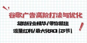 谷歌广告高阶打法与优化，凝结行业精华/带你抓住流量红利/最大化ROI(23节)-旺仔资源库