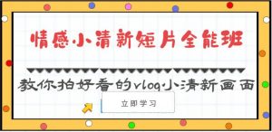 情感小清新短片全能班-教你拍好看的vlog小清新画面（30节课）-旺仔资源库