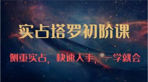 实占塔罗初阶课：独特的牌意解读学习结构，侧重实占，快速入手，一学就会（47节）-旺仔资源库