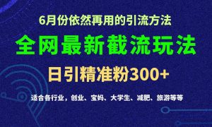 2024全网最新截留玩法，每日引流突破300+-旺仔资源库