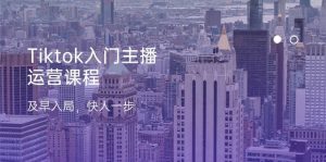 Tiktok入门主播运营课程，及早入局，快人一步（11节）-旺仔资源库