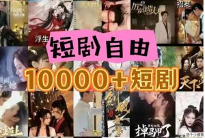 打造完全属于自己的个人短剧库，实现网盘拉新与私域变现的完美融合！-旺仔资源库