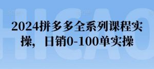 2024拼多多全系列课程实操，日销0-100单实操【必看】-旺仔资源库