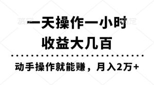 （11263期）一天操作一小时，收益大几百，动手操作就能赚，月入2万+教学-旺仔资源库