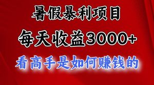 暑假暴力项目 1天收益3000+,视频号,快手,不露脸直播.次日结算-旺仔资源库