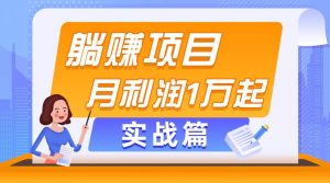 （11322期）躺赚副业项目，月利润1万起，当天见收益，实战篇-旺仔资源库