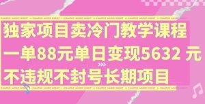 独家项目卖冷门教学课程一单88元单日变现5632元违规不封号长期项目【揭秘】-旺仔资源库