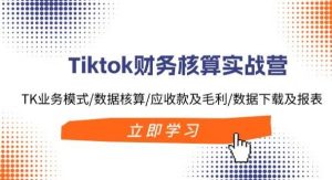 （11978期）Tiktok财务核算实战营：TK业务模式/数据核算/应收款及毛利/数据下载及报表-旺仔资源库