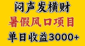 30天赚了7.5W 暑假风口项目，比较好学，2天左右上手-旺仔资源库