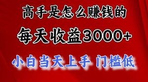 （12144期）1天收益3000+，月收益10万以上，24年8月份爆火项目-旺仔资源库