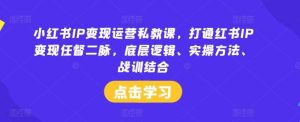 小红书IP变现运营私教课，打通红书IP变现任督二脉，底层逻辑、实操方法、战训结合-旺仔资源库