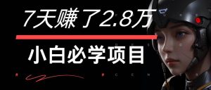 7天赚了2.8万！每单利润最少500+，轻松月入7万+小白有手就行-旺仔资源库