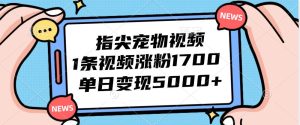 (12549期)指尖宠物视频,1条视频涨粉1700,单日变现5000+-旺仔资源库