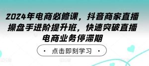 2024年电商必修课，抖音商家直播操盘手进阶提升班，快速突破直播电商业务停滞期-旺仔资源库