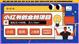 小红书创业粉日+500,月入10W+,无脑操作,每天20分钟-旺仔资源库