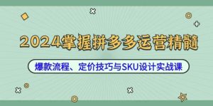 （12703期）2024掌握拼多多运营精髓：爆款流程、定价技巧与SKU设计实战课-旺仔资源库