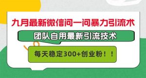(12735期)九月最新微信问一问暴力引流术,团队自用引流术,每天稳定300+创…-旺仔资源库