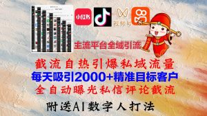 （12786期）小红书，抖音，视频号，快手主流平台全域引流，截流自热引爆私域流量，…-旺仔资源库