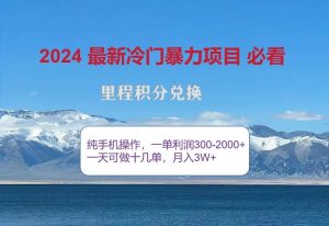 2024惊爆冷门暴利，里程积分最新玩法，高爆发期，一单300+—2000+-旺仔资源库