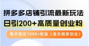（12893期）拼多多店铺引流最新玩法，日引200+高质量创业粉，每天稳定1000+收益（…-旺仔资源库