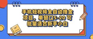 （12898期）手机短视频掘金项目，单窗口单平台5-20 可批量适合新手小白-旺仔资源库