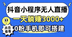 （12988期）抖音小程序无人直播，一天躺赚3000+，0粉手机可搭建，不违规不限流，小…-旺仔资源库