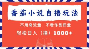 （13014期）番茄小说最新自撸 不看流量 不看质量 轻松日入1000+-旺仔资源库