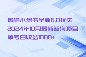 （13052期）微信小绿书全新6.0玩法，2024年10月最新蓝海项目，单号日收益1000+-旺仔资源库