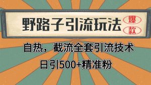 抖音小红书视频号全平台引流打法，全自动引流日引2000+精准客户-旺仔资源库