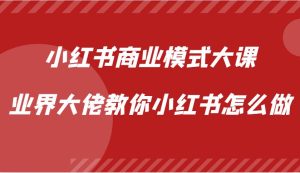 小红书商业模式大课,业界大佬教你小红书怎么做【视频课】-旺仔资源库