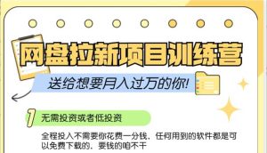 网盘拉新训练营3.0;零成本公域推广大作战,送给想要月入过万的你-旺仔资源库