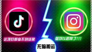 抖音无脑搬运,如果这项目都拿不到结果,你可以退网了-旺仔资源库