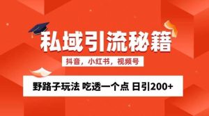 私域流量的精准化获客方法 野路子玩法 吃透一个点 日引200+ 【揭秘】-旺仔资源库