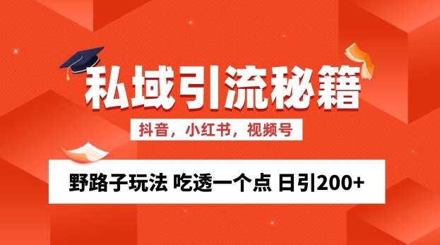私域流量的精准化获客方法 野路子玩法 吃透一个点 日引200+ 【揭秘】-旺仔资源库