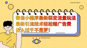 微信小程序最新裂变流量玩法，时间自由收益高轻松赚广告费，日入过千不是梦！-旺仔资源库