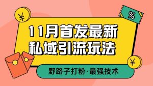 11月首发最新私域引流玩法,自动克隆爆款一键改写截流自热一体化 日引300+精准粉-旺仔资源库