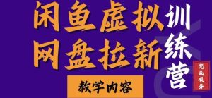 闲鱼虚拟网盘拉新训练营，两天快速人门，长久稳定被动收入，要在没有天花板的项目里赚钱-旺仔资源库