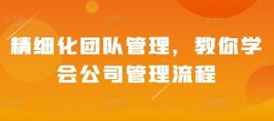 精细化团队管理,教你学会公司管理流程-旺仔资源库