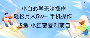 10天赚了3.6万,年前风口利润超级高,手机操作就可以,多劳多得-旺仔资源库