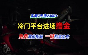 全新冷门平台vivo视频，快速免费进场搞米，通过混剪视频一键批量生成，实测7天撸2300+-旺仔资源库