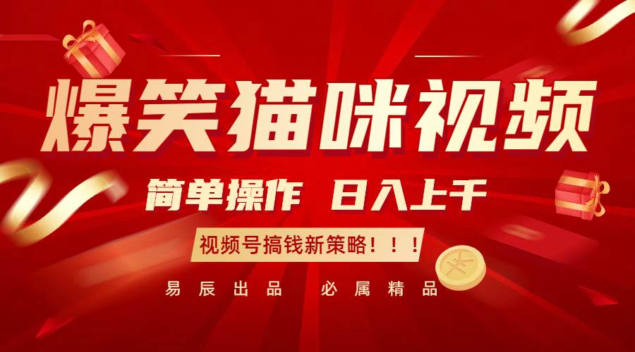 爆笑猫咪视频：简单操作，日入过千，视频号搞钱新策略！-旺仔资源库
