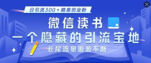 微信读书,一个隐藏的引流宝地,不为人知的小众打法,日引流300+精准创业粉,长尾流量源源不断-旺仔资源库