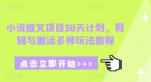 小说推文项目38天计划，剪辑与搬运多种玩法教程-旺仔资源库