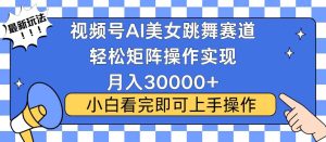 (13813期)视频号蓝海赛道玩法,当天起号,拉爆流量收益,小白也能轻松月入30000+-旺仔资源库