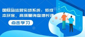 国际站运营实战系统：低成本获客，高质量询盘增长课-旺仔资源库
