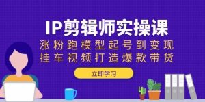 IP剪辑师实操课:涨粉跑模型起号到变现,挂车视频打造爆款带货-旺仔资源库