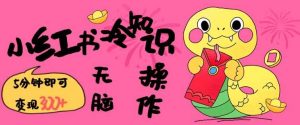 小红书冷知识账号,无脑复制粘贴,5分钟即可变现3张-旺仔资源库