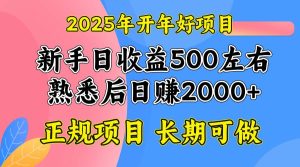 （14076期）2025开年好项目，单号日收益2000左右-旺仔资源库